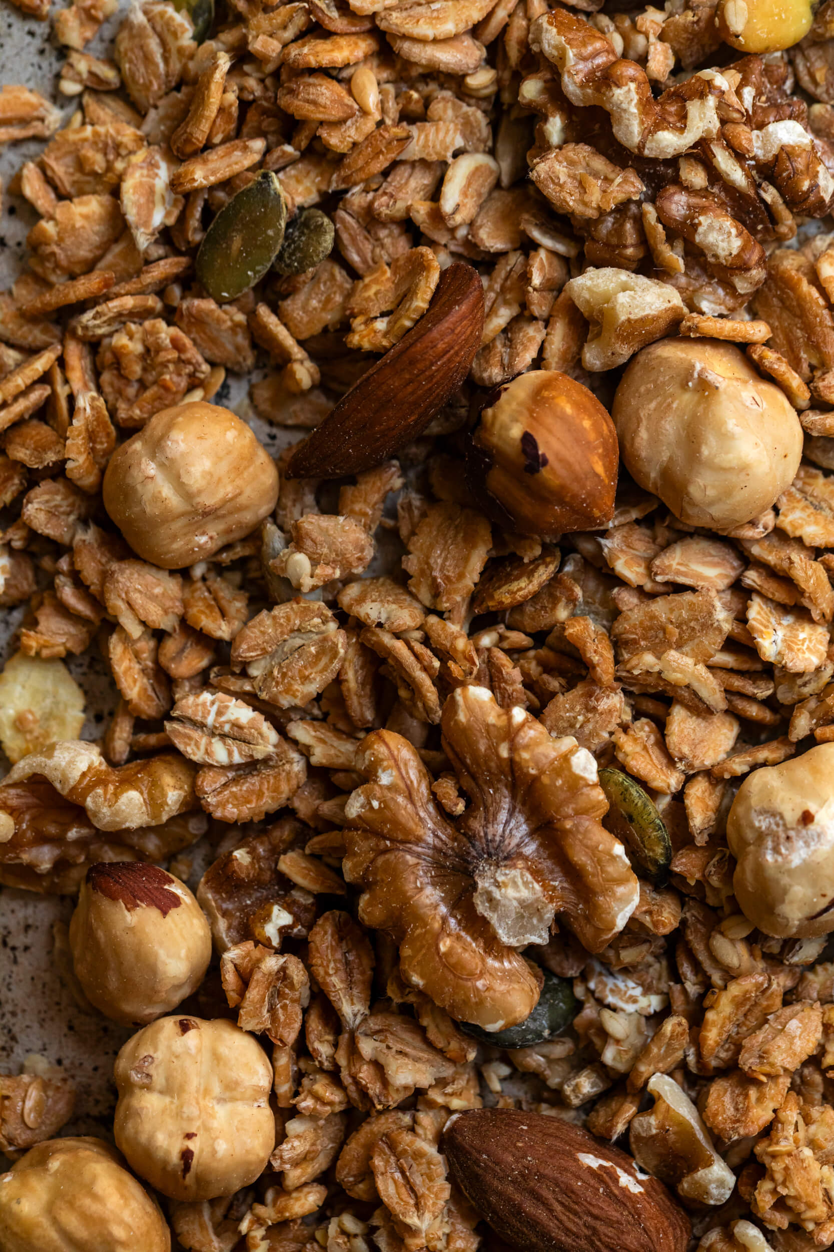 Aurora Zancanaro Granola di Farro 210g
