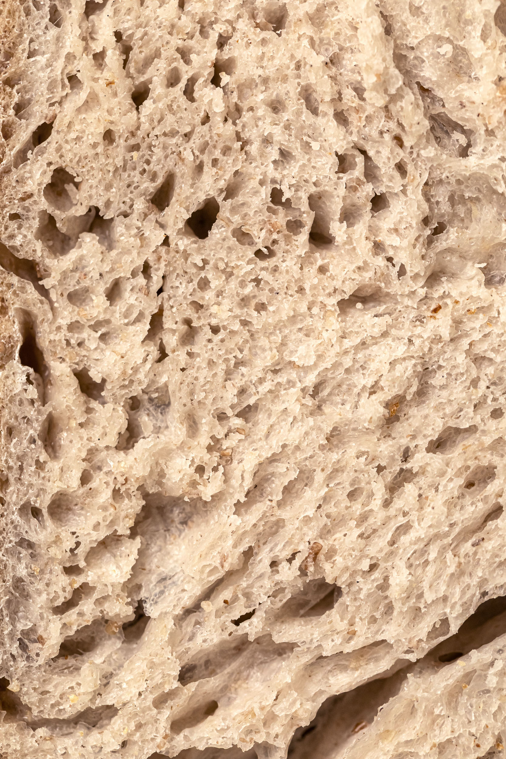 Aurora Zancanaro Pane di campagna pane 1kg lievito madre
