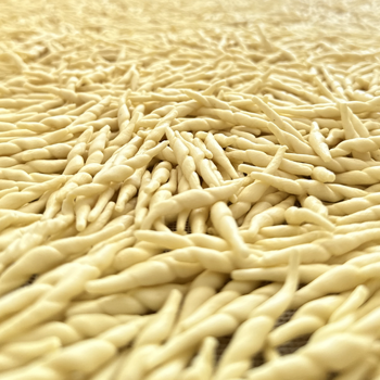 Lele Pasta strozzapreti pasta 500 g artigianale