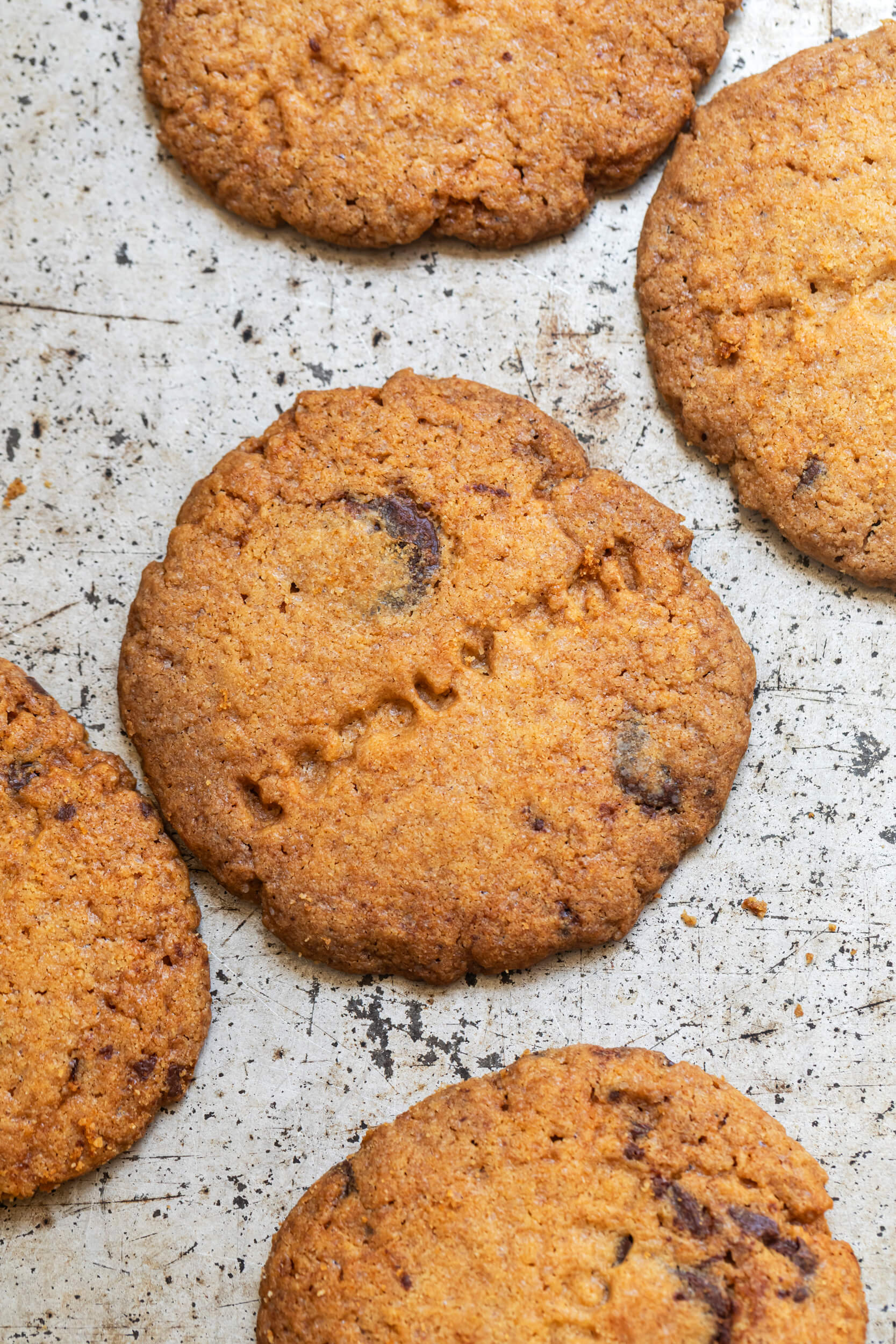 Aurora Zancanaro Cookies Arancia Cioccolato 170g burro