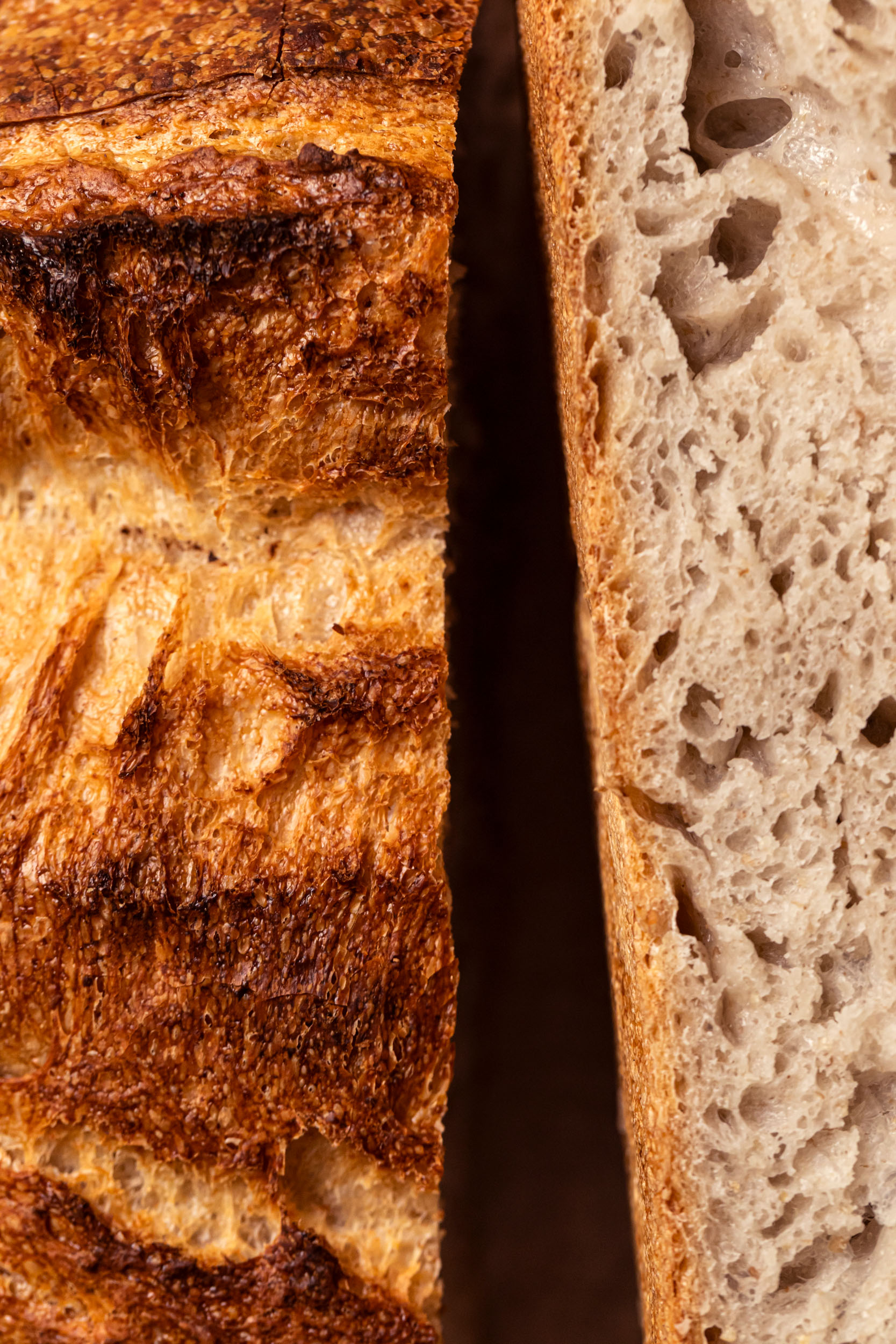 Aurora Zancanaro Pane di campagna pane 1kg lievito madre