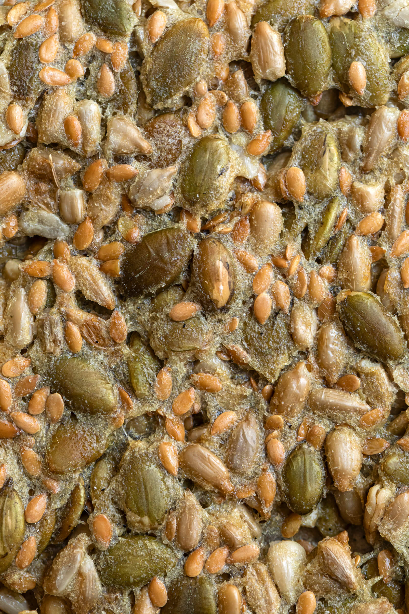 Aurora Zancanaro Biscotti Crackers di semi 170 g ai semi
