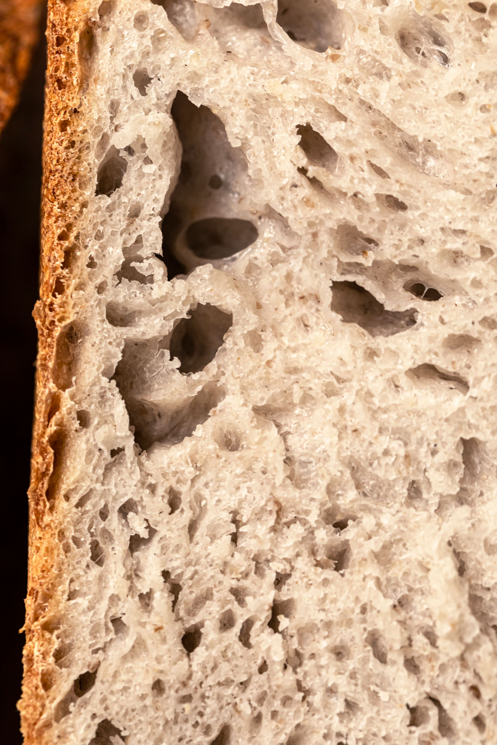 Aurora Zancanaro Pane di campagna pane 1kg lievito madre