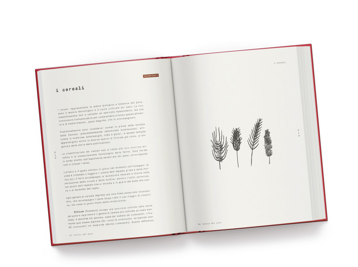 Aurora Zancanaro La teoria del pane libro 320 pagine ricette