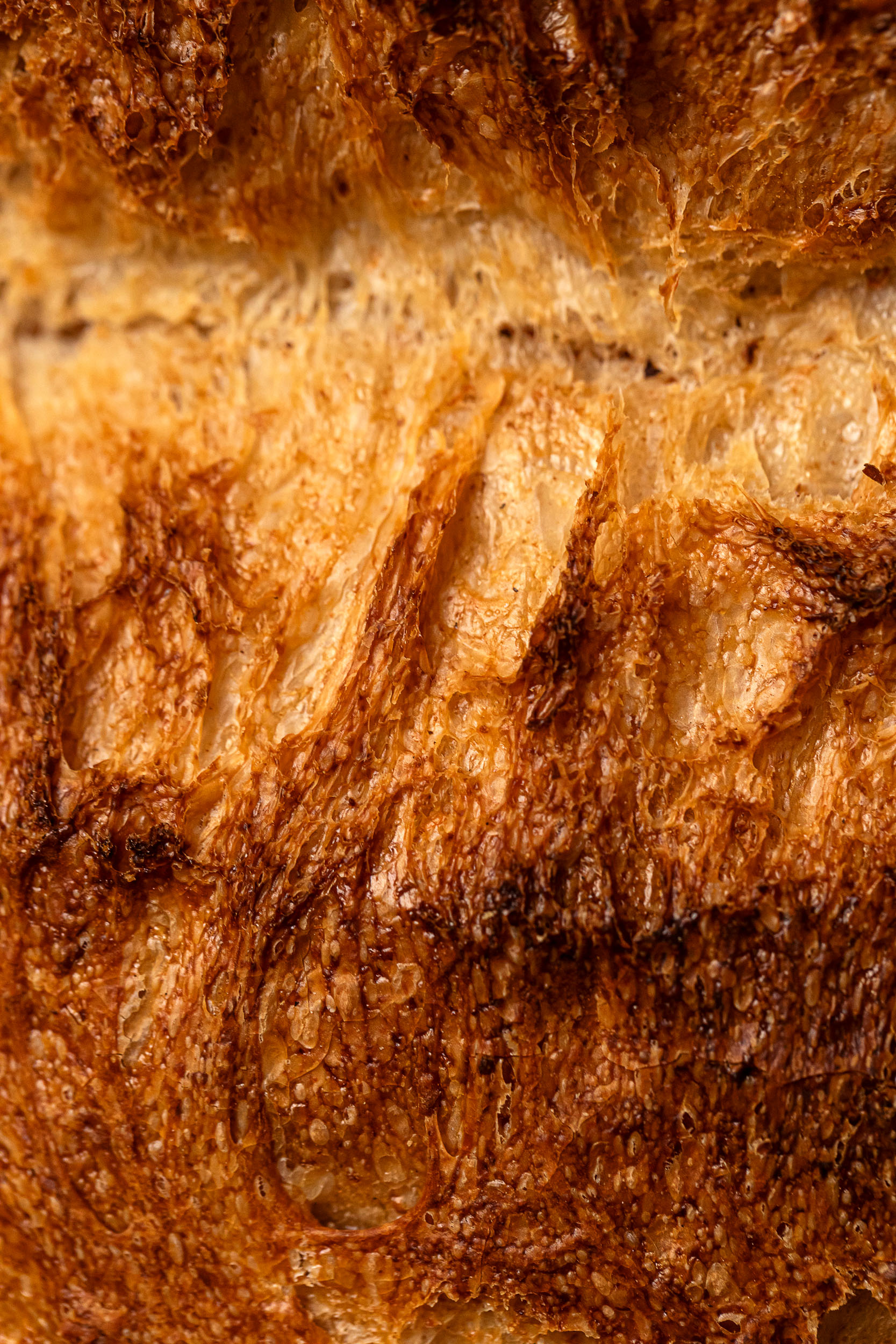 Aurora Zancanaro Pane di campagna pane 1kg lievito madre
