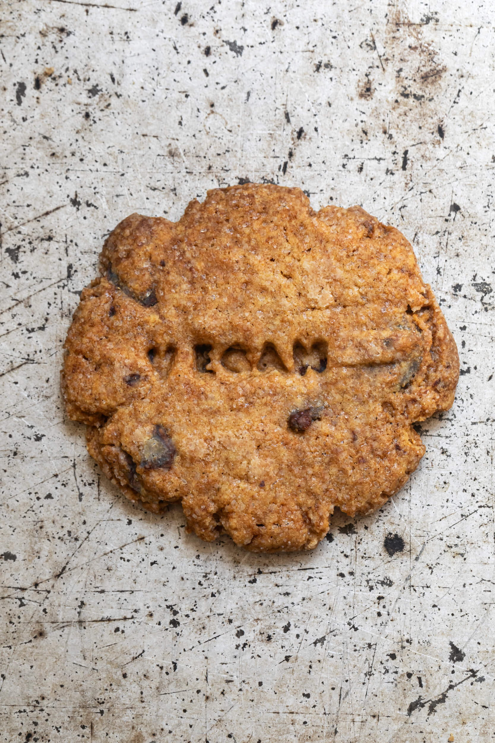 Aurora Zancanaro Biscotti Cookies Arancia Cioccolato Vegan 170g