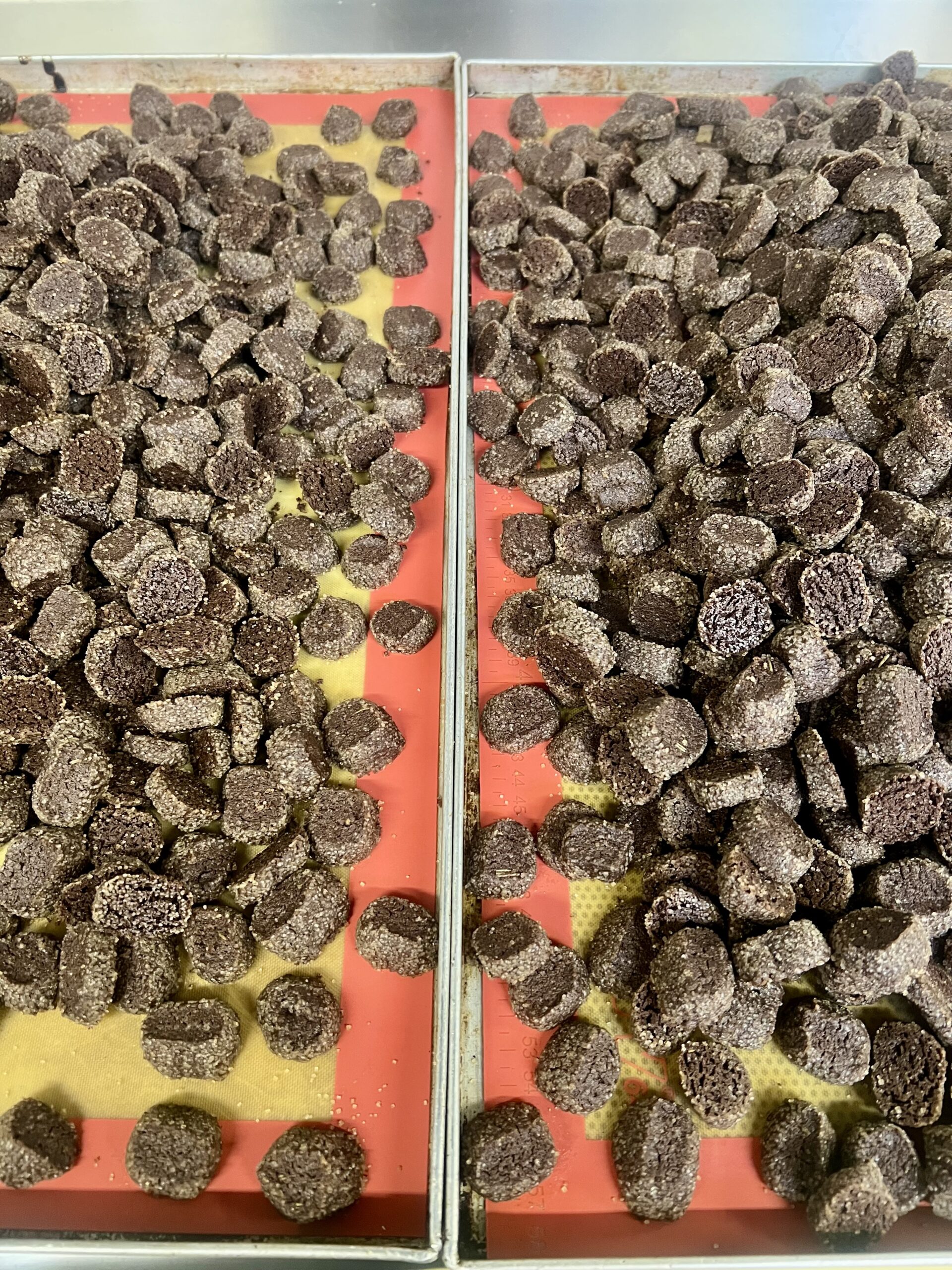 Aurora Zancanaro Biscotti cacao amaro rosmarino 170g sale Maldon